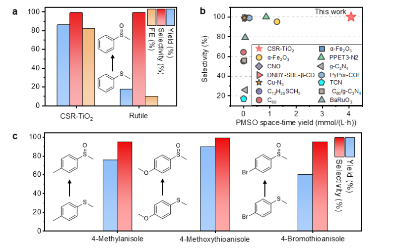 20250305_141518_521.png image007.png